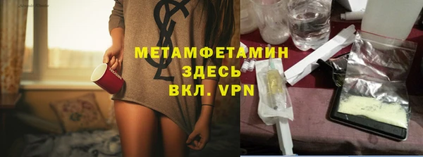 шишки Магас
