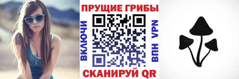 Купить  Красноперекопск  Псилоцибиновые грибы GOLDEN TEACHER 